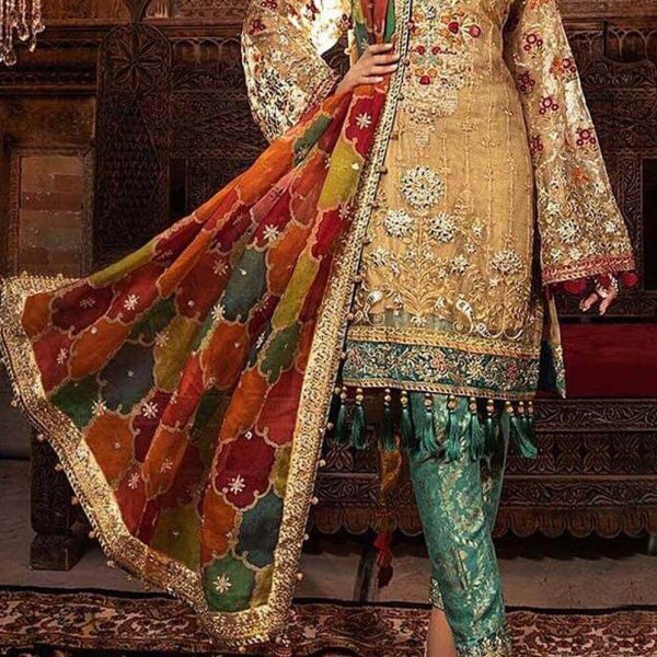 Heavy Embroidered Net Wedding Dress with Organza Net in pakistan sanwarna.pk