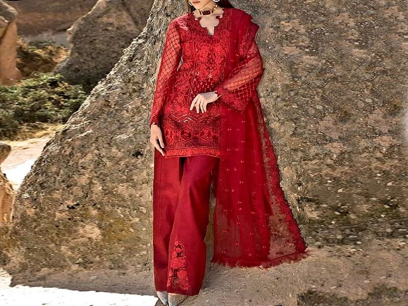 Heavy Embroidered Net Red Dress Price in Pakistan sanwarna.pk