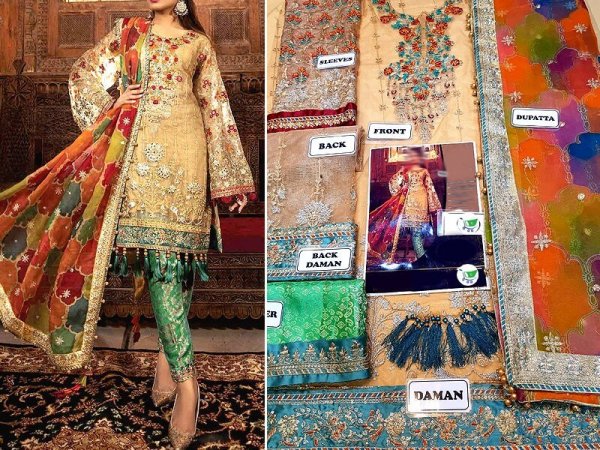 pakistani organza dresses sanwarna.pk