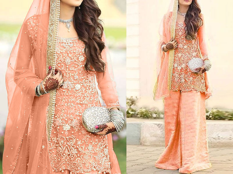 Heavy Embroidered Net Bridal Dress with Jamawar Trouser in pakistan sanwarna.pk