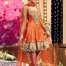 Heavy Embroidered Net Dress with Inner Price in Pakistan in pakistan sanwarna.pk