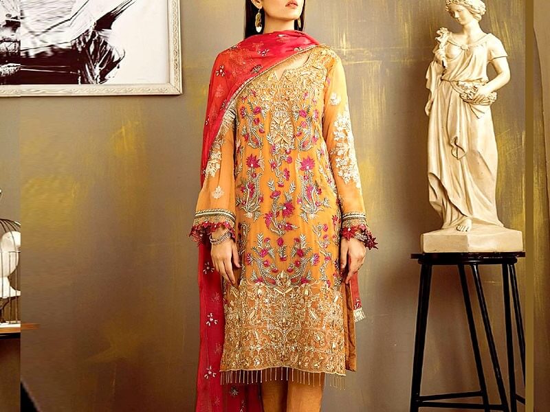 Heavy Embroidered Chiffon Wedding Dress in pakistan sanwarna.pk