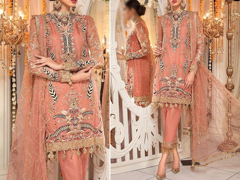 Heavy Embroidered Net Wedding Dress with Inner in pakistan sanwarna.pk