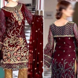Heavy Embroidered Net Bridal Dress with Jamawar Trouser in pakistan sanwarna.pk