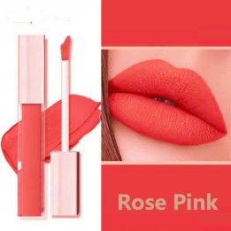 Rose Pink Long Lasting Lip Gloss Sanwarna.pk