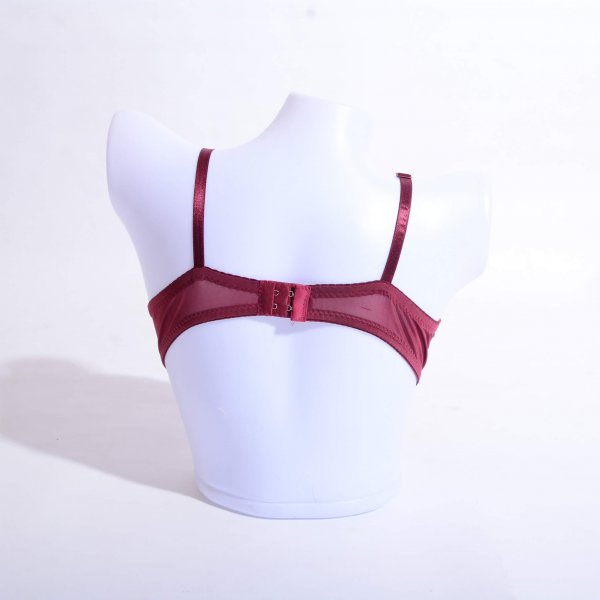 embroidered padded wired bra pakistan