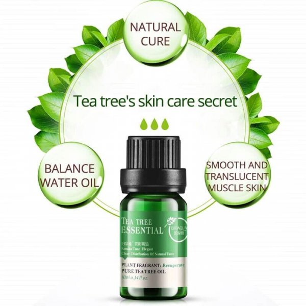 tea tree oil for skin price in pakistan