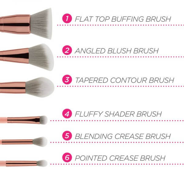 cosmetics 6 piece brush set