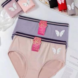 seamless underwear for ladies sanwarna.pk